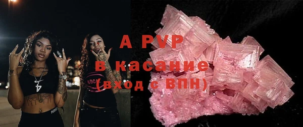 прущие грибы Горнозаводск