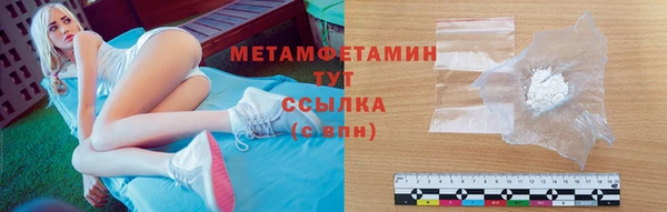 прущие грибы Горнозаводск